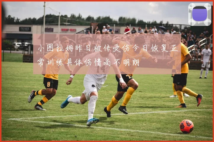 小图拉姆昨日被传受伤今日恢复正常训练具体伤情尚不明朗