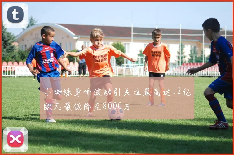 小蜘蛛身价波动引关注最高达12亿欧元最低降至8000万